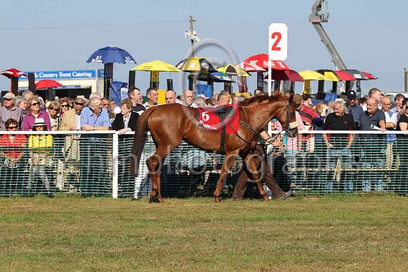 09 - Wandering Heart & D J Condon - 9th (6, red and black chevrons )FT8E0734-12