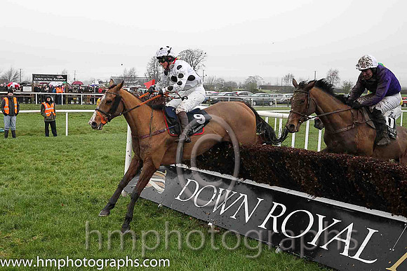 03rd Moonlone Lane ( 9 , white, large black spots ) and L. Brooke (7) - Trainer : Paul Stafford - Owner : Michael Keegan