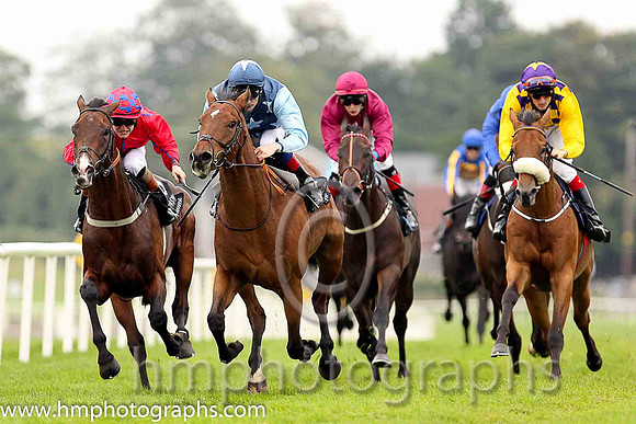 01st Downforce ( 2 , dark blue, light blue stars ) and D.P. McDonogh - Trainer : W. McCreery - Owner : Mrs A.M. Burns