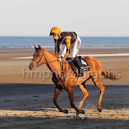 10 Tohugo & Mr P W Mullins - 10th (4, black, orange disc) - FT8E1085-14