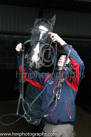 Don Cossack and Bryon Cooper at the Leopardstown  Horse Racing Ireland launch of the Christmas Festival at Gordon Elliot's yard
