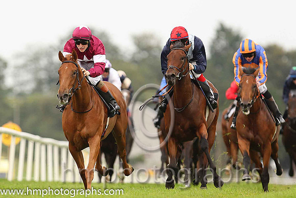 01st Flirt ( 3 , maroon, white star ) and G.P. Halpin (5) - Trainer : David Wachman - Owner : Gigginstown House Stud