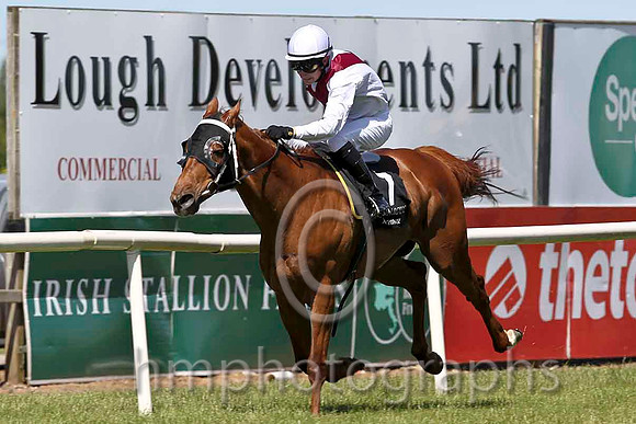 Option Be 2nd , Jockey D J MoranFT8E1258-e