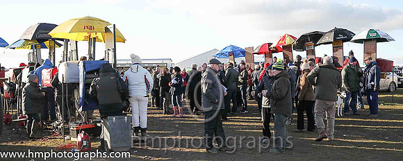 Late afternoon sunshine in the parade ring at East Down Hunt Point to Point at Tyrella