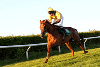 2013/06/07th - Race 7 Downpatrick Racecourse Bring on the Weekend evening Meeting
