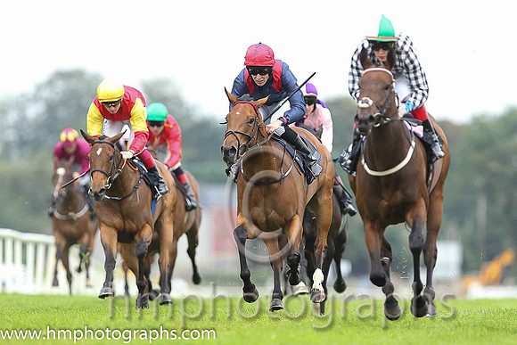 01st Go Kart ( 3 , black  white checks ) and R.P. Downey (5) - Trainer : P.J.Prendergast - Owner : J.P.M.O'Connor
