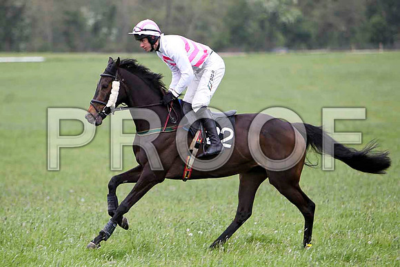 On the Arthur , 5th, Jockey - Derek O'Connor -FT8E2396-e