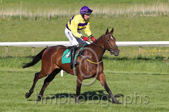 03 My Aya & D J Condon - 3rd (4, yellow and purple hoops) - FT8E6008-3