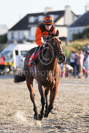 01 Bangalore Diamond & C T Keane - winner (2, brown and orange chevrons) - FT8E0988-10
