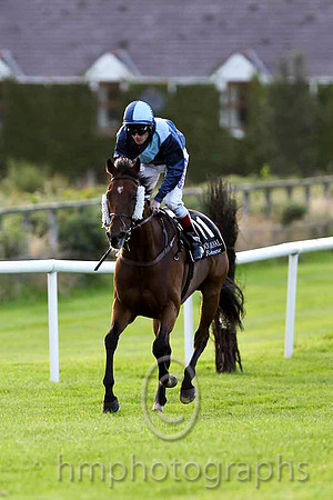 Solo Whisper & J P Murtagh - 11th (11, navy blue, sky blue sash) - CU2D3451-e