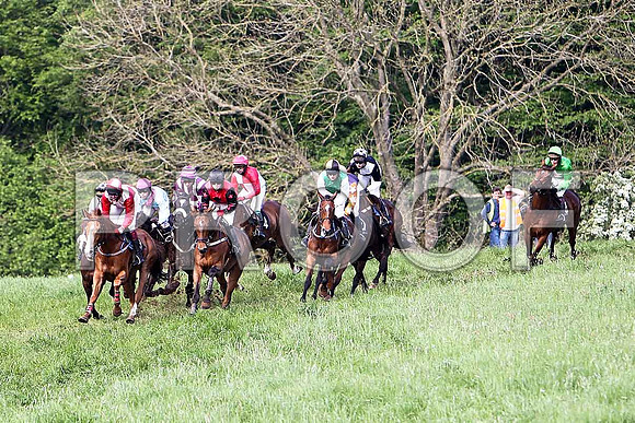 Race 6 Div 2 - Glyding Feather (10) Winner, Rider M J O'Hare - in centre in green - CU2D9803-e