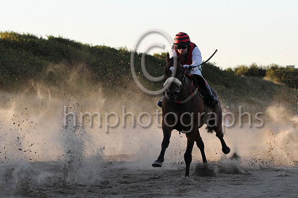 08 Academic Accolade & Mr D L Queally - 8th (1,black , red chevron ) - FT8E1149-52