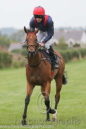 02nd Kotonic ( 5 , dark blue, red epaulettes ) and S.B. Kelly (3) - Trainer : M.D. O'Callaghan - Owner : Michael O'Callaghan