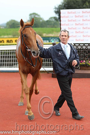01st Flirt ( 3 , maroon, white star ) and G.P. Halpin (5) - Trainer : David Wachman - Owner : Gigginstown House Stud