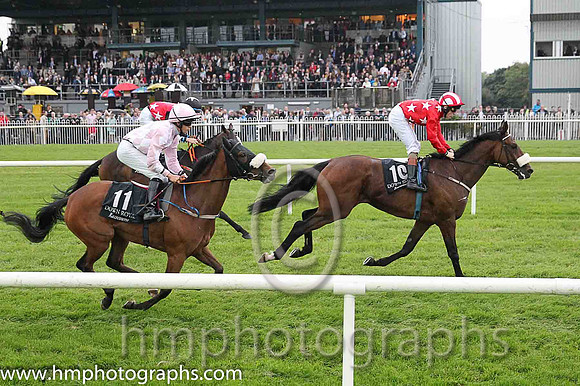 12th Royal Ascot Trip (CAN) ( 10 , red, white stars ) and G.P. Halpin - Trainer : D. K. Weld - Owner : Kenneth L. Ramsey