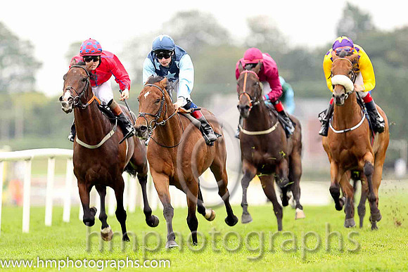 01st Downforce ( 2 , dark blue, light blue stars ) and D.P. McDonogh - Trainer : W. McCreery - Owner : Mrs A.M. Burns
