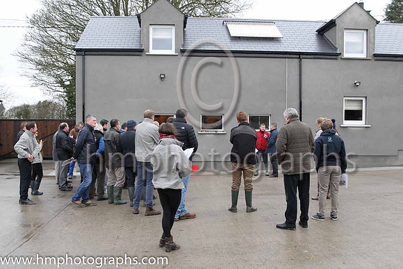 The Leopardstown  Horse Racing Ireland launch of the Christmas Festival at Gordon Elliot's yard