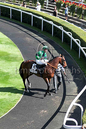 R4 Tilsworth Glenboy & Fressie Tylicki - 6th - IMG_9946-e