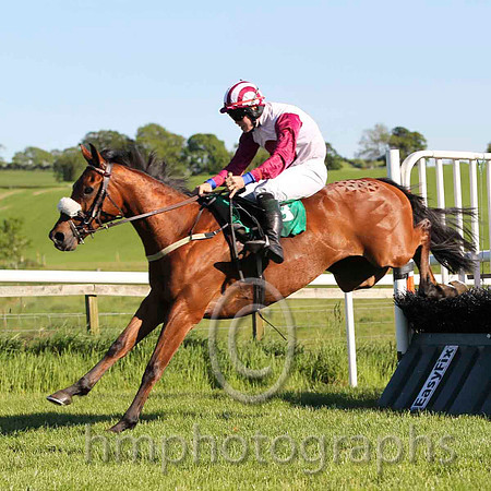 01 Point the Toes & S E Butler - winner (3, white, maroon disc) - FT8E5982-14