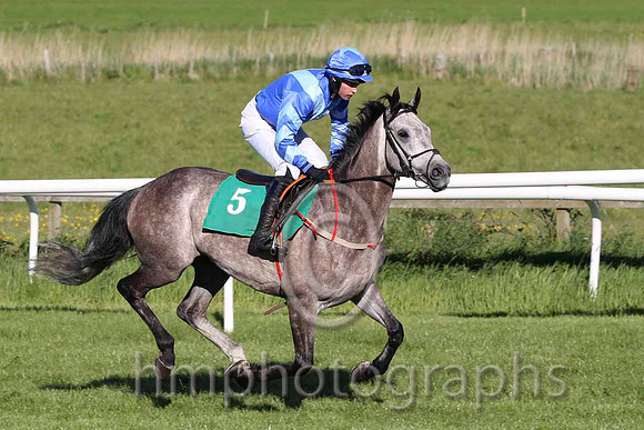 11 Romeo's Bay & D E Splaine - 11th (5, royal blue, light blue chevron) - FT8E6023-17