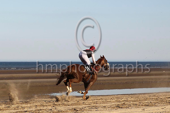 08 Happy Maverick & Mr J P McKeown - 8th (10, black ,red chevron ) - CU2D0785-34