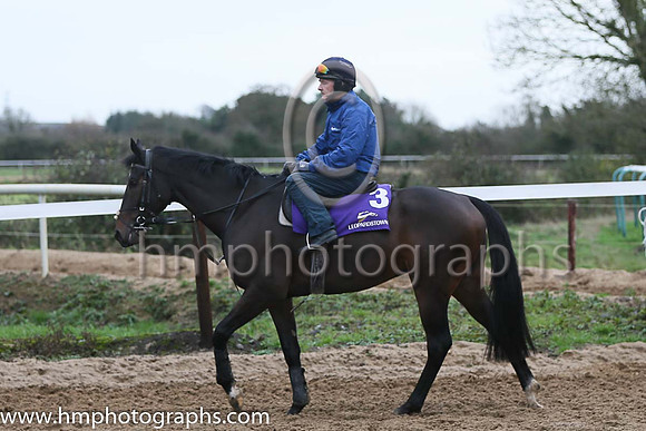 Clarcam and Luke Dempsey at the Leopardstown  Horse Racing Ireland launch of the Christmas Festival at Gordon Elliot's yard