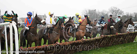 Race 5 at Down Royal on Boxing Day