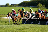 2013/06/07th Race 1 Downpatrick Racecourse - Bring on the Weekend