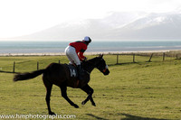 09 Nancy's Trix (14) & M O'Hare - PU Trainer : Dermot McLoughlin, Red, green chevron