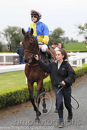 01st Knights Templar ( 1 , royal blue, yellow qtrd ) and G.P. Halpin (5) - Trainer : Patrick J.Flynn - Owner : S.P. Girvan