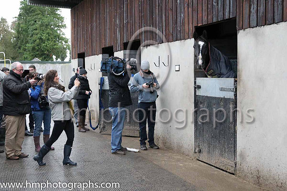 Don Cossack - centre of attention