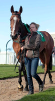 Minnie Maguire , 4th, Jockey - M N Doran - CU2D9311-e