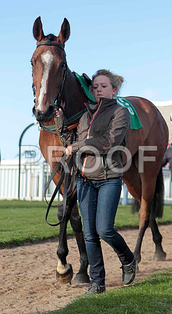 Minnie Maguire , 4th, Jockey - M N Doran - CU2D9311-e