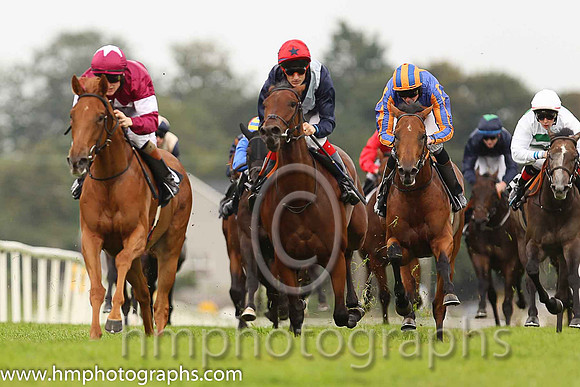 02nd Fair Game ( 7 , dark blue white sash ) and F.M. Berry - Trainer : E. J. O'Grady - Owner : Mrs E J O'Grady