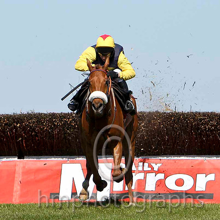 Cottage Oak - Winner, Jockey P Carberry  -FT8E2197-e