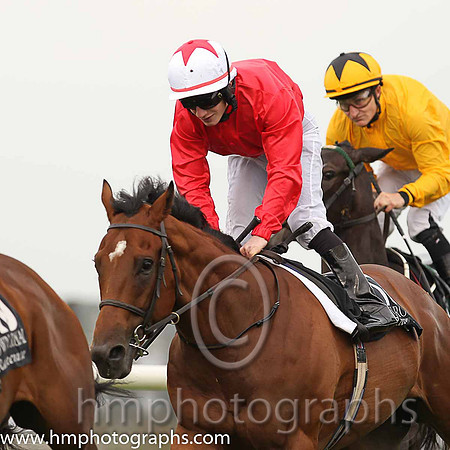 10th Texas Radio ( 13 , red, white cap ) and K.J. Leonard (10) - Trainer : M.C. Grassick - Owner : Tadhg Geary