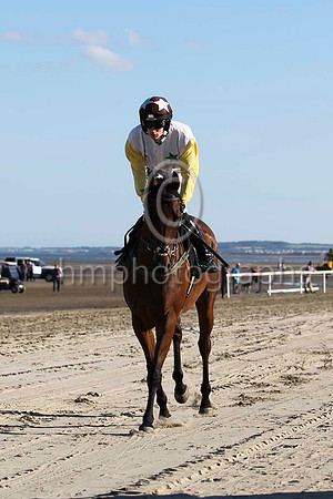 08 Ainm Spartacus & D E Mullins - 8th (1, white, emerald green stars) - FT8E0839-23