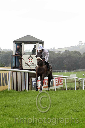 Karkari , Jockey A P Crowe - 2nd- FT8E3999-e