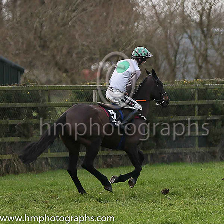 02 Futuramic ( 2 , maroon and white stripes ) and D.N. Russell - Trainer : Andrew Lynch - Owner : C.Jones