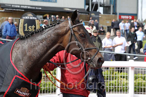 01 Sir Ector & C D hayes - winner (7, pink, dark blue and pink striped cap) - FT8E6361-22