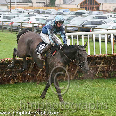 10th El Vasco ( 6 , light blue , dark blue qtrd ) and R.A. Doyle (7) - Trainer : Conor O'Dwyer - Owner : Owen Curtin
