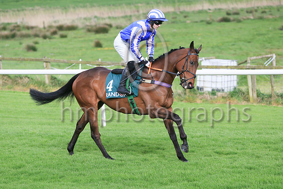 9 Billable Grant (4 ,roual blue, pink epaulettes ), Jockey - G Brouder ,Trainer - C A McBratney
