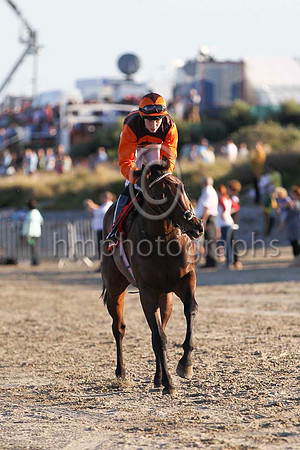 01 Bangalore Diamond & C T Keane - winner (2, brown and orange chevrons) - FT8E0986-8