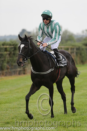 03rd Roc Of Gold ( 12 , dark green and white stripes ) and R.P. Cleary - Trainer : Emmet Mullins - Owner : Mrs. Sandra McCarthy