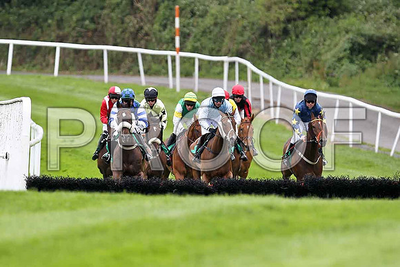 Perfect Buttons , Lisselan Champion , Glen Orchy Lad , Silverlord , Fleeting Moment, Golden Grimshaw ( partially hidden, red cap) Turner Brown & Mr Dazza- FT8E1637-e