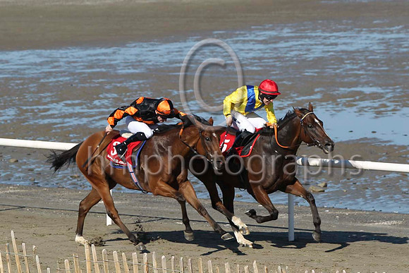 01 - Ucanchoose & D P McDonogh - 2nd (3, black, orange triple diamond ) & Enigma Code & I J McCarthy - winner (5, yellow, royal blue chevron) - FT8E0750-Edit-18