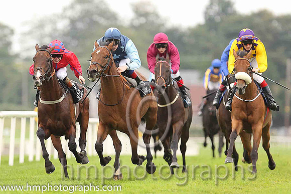 01st Downforce ( 2 , dark blue, light blue stars ) and D.P. McDonogh - Trainer : W. McCreery - Owner : Mrs A.M. Burns