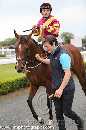 08th Helen's Armada ( 4 , maroon, yellow sash ) and C.D. Hayes - Trainer : Adrian McGuinness - Owner : Ms. Hazel McGuinness