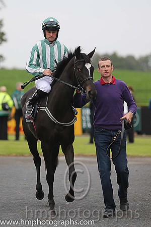 03rd Roc Of Gold ( 12 , dark green and white stripes ) and R.P. Cleary - Trainer : Emmet Mullins - Owner : Mrs. Sandra McCarthy