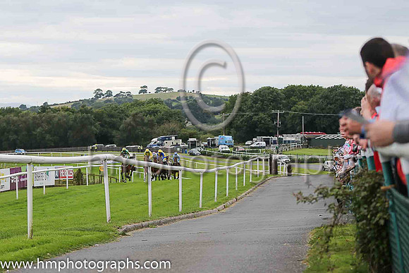Racing at Downpatrick on Ladies Day